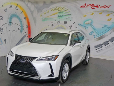 Lexus UX Gebrauchtwagen