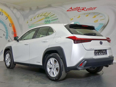 Lexus UX Gebrauchtwagen