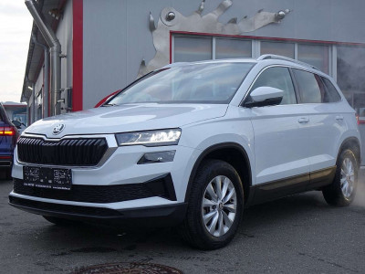 Skoda Karoq Gebrauchtwagen