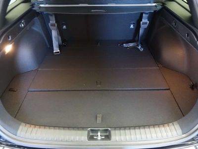 KIA Ceed Vorführwagen