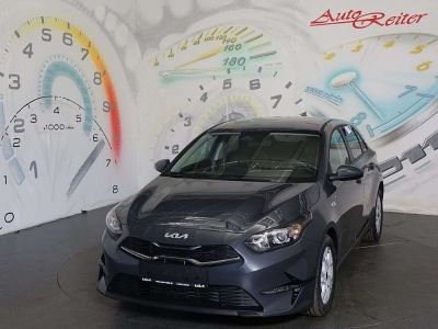 KIA Ceed Neuwagen