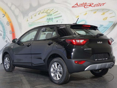 KIA Stonic Gebrauchtwagen