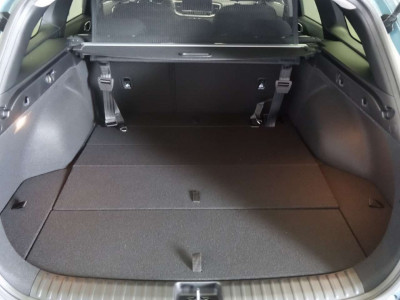 KIA Ceed Neuwagen