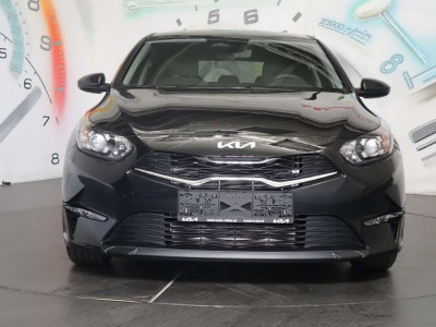 KIA Ceed Neuwagen