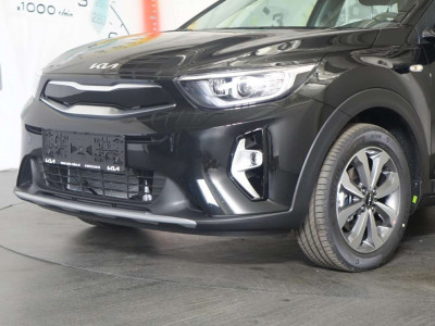 KIA Stonic Neuwagen
