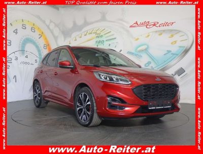 Ford Kuga Gebrauchtwagen