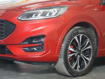 Ford Kuga Gebrauchtwagen