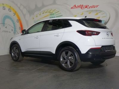 Opel Grandland Gebrauchtwagen