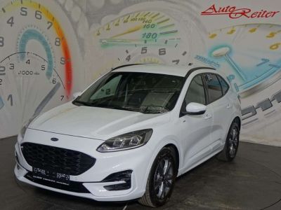 Ford Kuga Gebrauchtwagen Ford Kuga Gebrauchtwagen