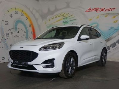 Ford Kuga Gebrauchtwagen Ford Kuga Gebrauchtwagen