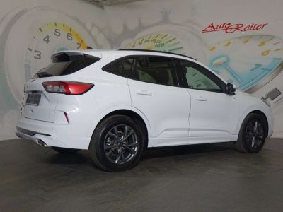 Ford Kuga Gebrauchtwagen Ford Kuga Gebrauchtwagen