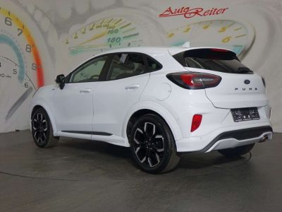 Ford Puma Gebrauchtwagen