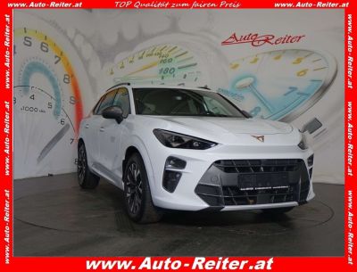 Cupra Terramar Gebrauchtwagen