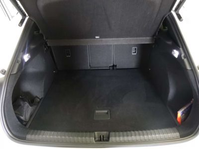 Cupra Terramar Gebrauchtwagen