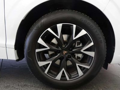 Cupra Terramar Gebrauchtwagen