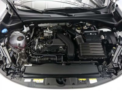 Cupra Terramar Gebrauchtwagen