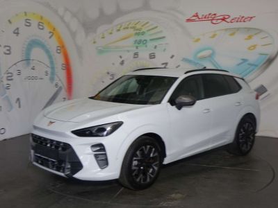 Cupra Terramar Gebrauchtwagen