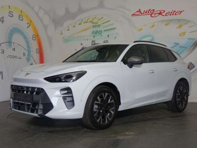 Cupra Terramar Gebrauchtwagen