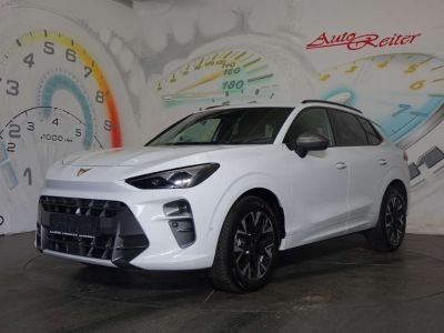 Cupra Terramar Gebrauchtwagen