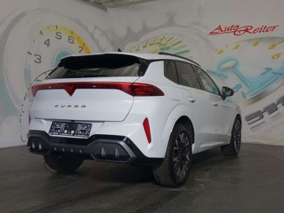 Cupra Terramar Gebrauchtwagen