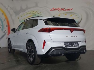 Cupra Terramar Gebrauchtwagen