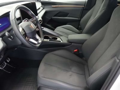 Cupra Terramar Gebrauchtwagen