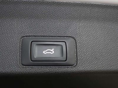 Cupra Terramar Gebrauchtwagen