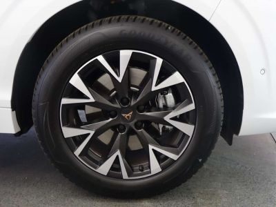 Cupra Terramar Gebrauchtwagen