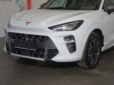 Cupra Terramar Gebrauchtwagen