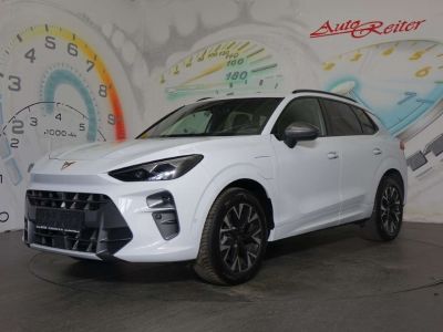 Cupra Terramar Gebrauchtwagen