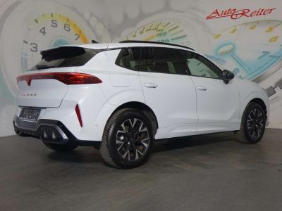 Cupra Terramar Gebrauchtwagen