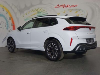 Cupra Terramar Gebrauchtwagen