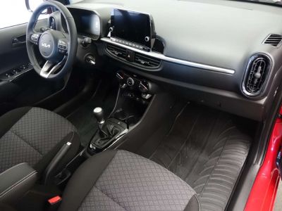 KIA Picanto Neuwagen