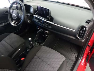 KIA Picanto Neuwagen KIA Picanto Neuwagen