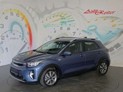 KIA Stonic Gebrauchtwagen