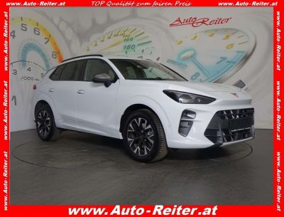 Cupra Terramar Gebrauchtwagen Cupra Terramar Gebrauchtwagen