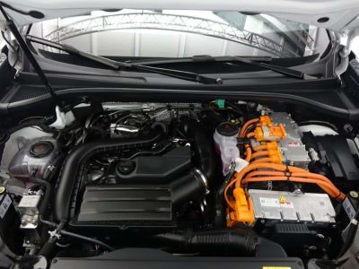 Cupra Terramar Gebrauchtwagen Cupra Terramar Gebrauchtwagen