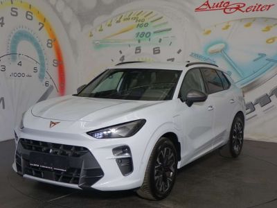 Cupra Terramar Gebrauchtwagen Cupra Terramar Gebrauchtwagen