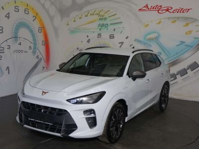 Cupra Terramar Gebrauchtwagen Cupra Terramar Gebrauchtwagen