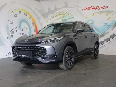 MG HS Tageszulassung