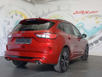 Ford Kuga Gebrauchtwagen