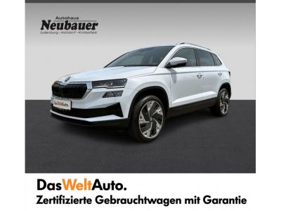 Skoda Karoq Gebrauchtwagen