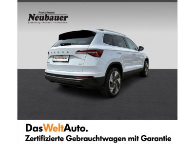 Skoda Karoq Gebrauchtwagen