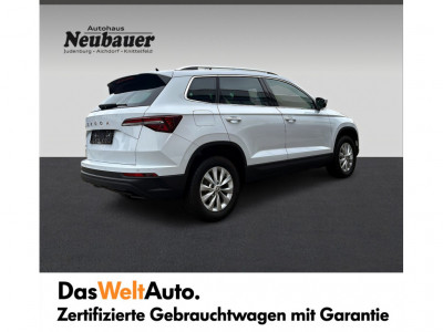 Skoda Karoq Gebrauchtwagen