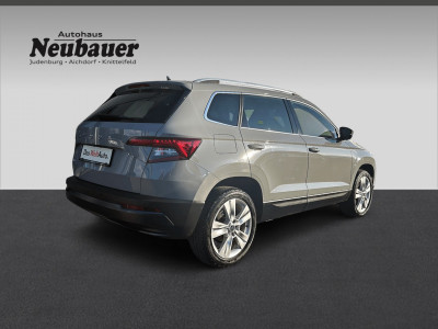 Skoda Karoq Gebrauchtwagen