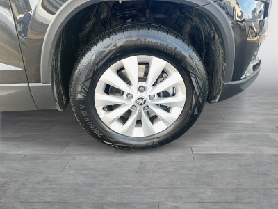 Skoda Karoq Gebrauchtwagen