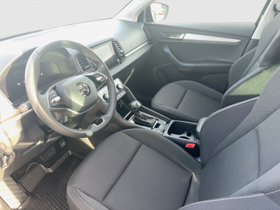 Skoda Karoq Gebrauchtwagen