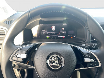 Skoda Karoq Gebrauchtwagen