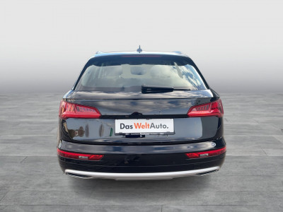Audi Q5 Gebrauchtwagen