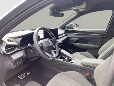 Cupra Terramar Gebrauchtwagen Cupra Terramar Gebrauchtwagen